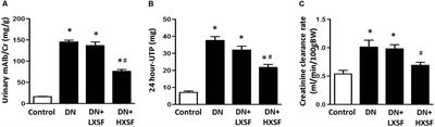 Xiao-Shen-Formula, a Traditional Chinese Medicine, Improves Glomerular Hyper-Filtration in Diabetic Nephropathy via Inhibiting Arginase Activation and Heparanase Expression